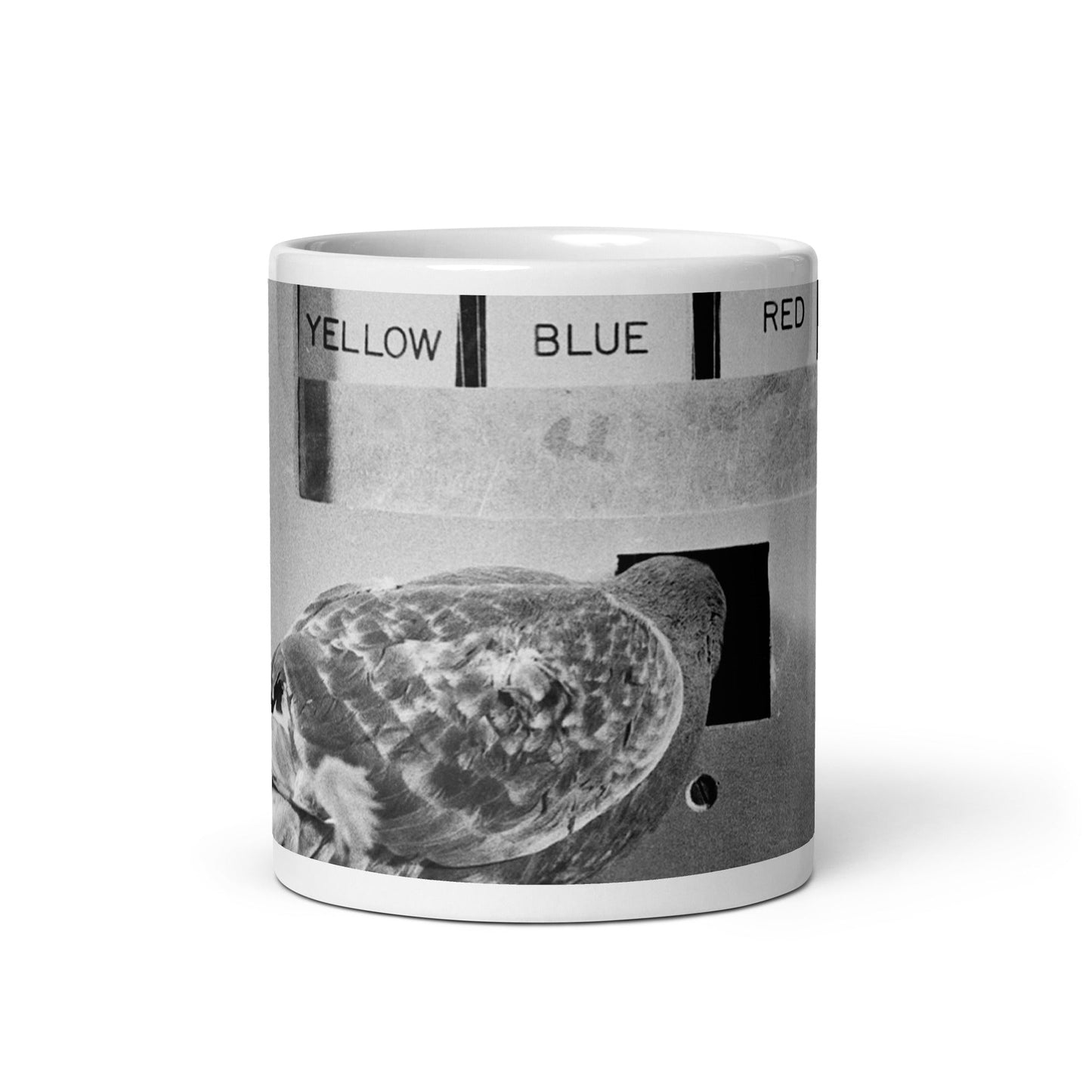 Skinner Box Pigeon operant conditioning ceramic mug, psychology protest art, Pen vs Sword